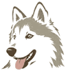 FOZY