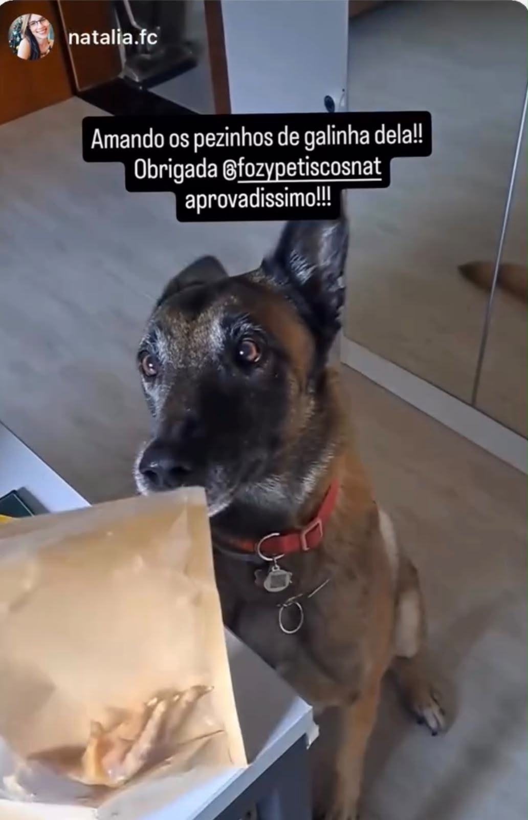 Avaliação de cliente FOZY 11